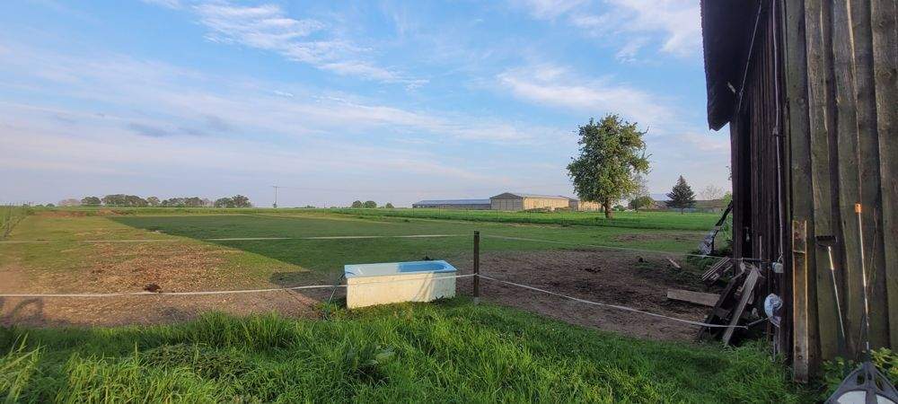 Doppelhaushälfte Tauche / Falkenberg Falkenberg - 4 Zimmer, 90 m&sup2;, 149.000&euro; | Angebot:22933253