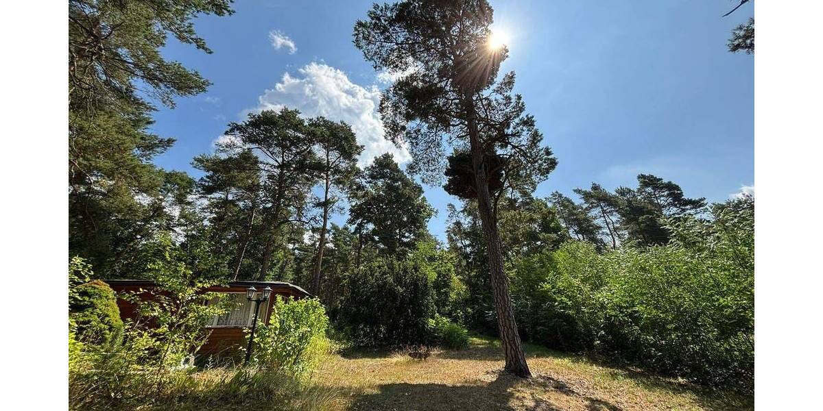 Grundstück Muldestausee Plodda - 140.000&euro; | Angebot:26037268