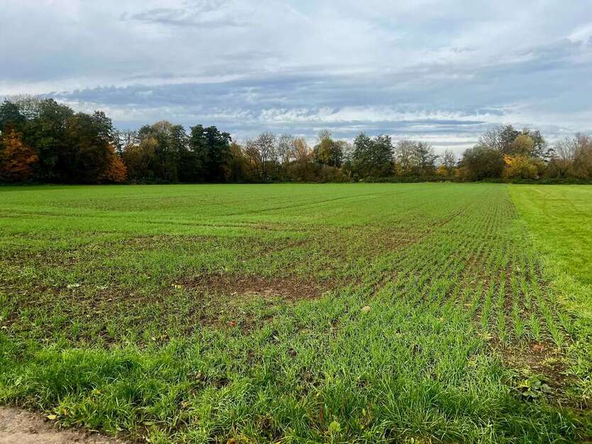 Grundstück zu verkaufen in Frankfurt am Main 59.900 € 3568 m² zimmer