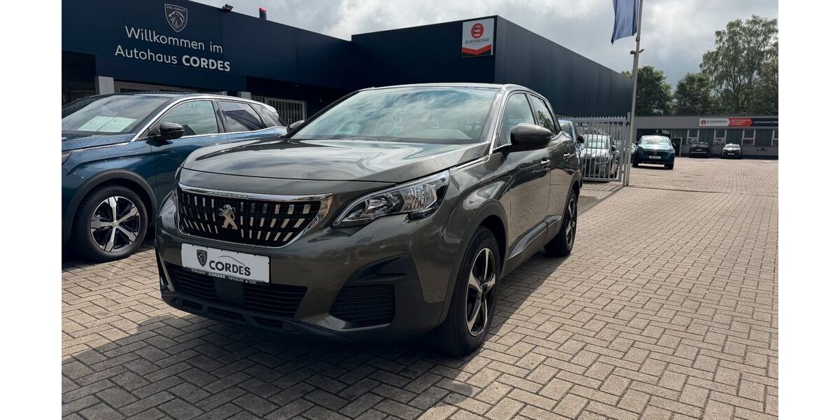 Peugeot 3008 106.300 km 12.450 &euro; Papenburg 26871