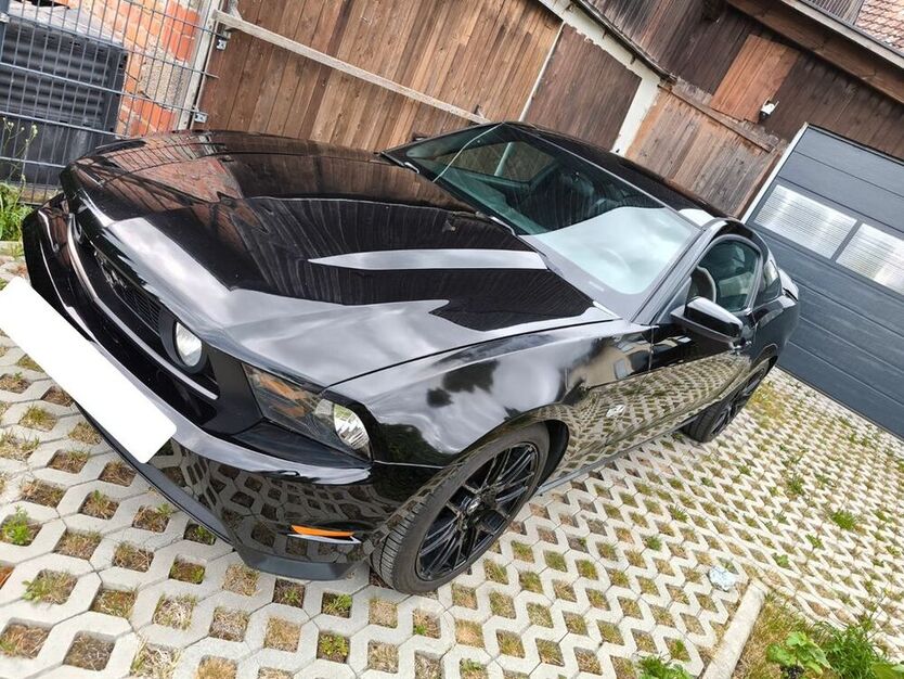 Mustang