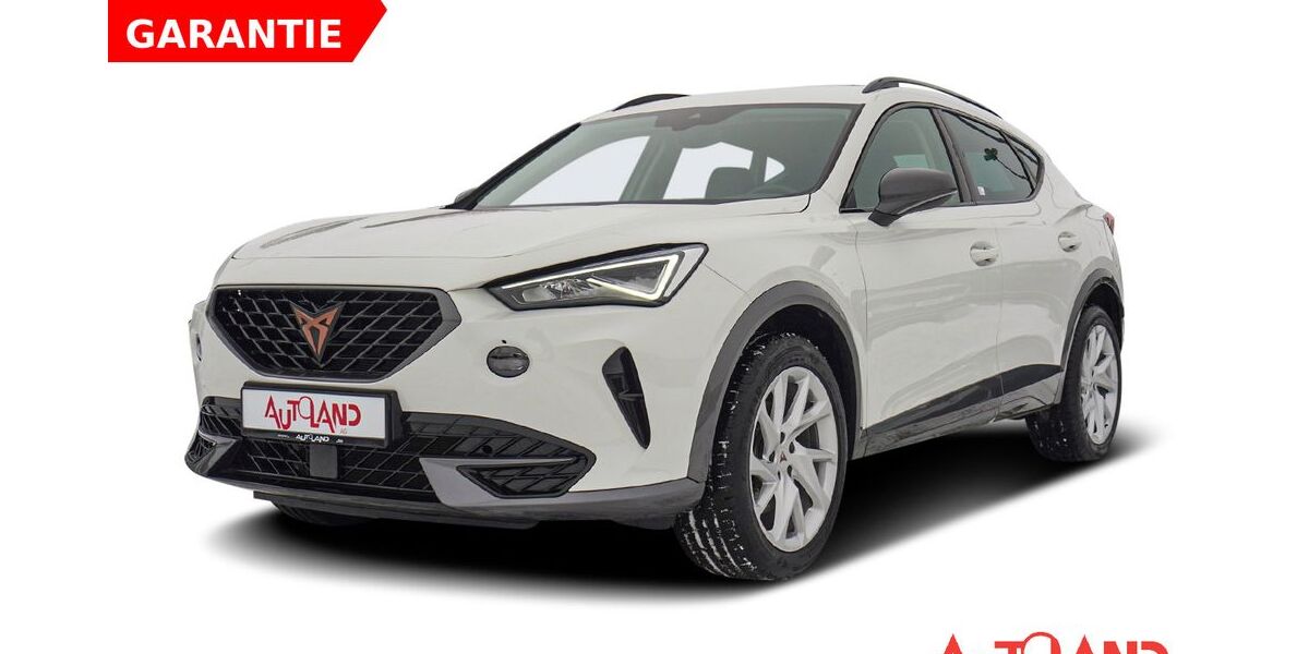 Cupra Formentor 25.062 km 24.950 &euro; Naumburg OT Schönburg 06618