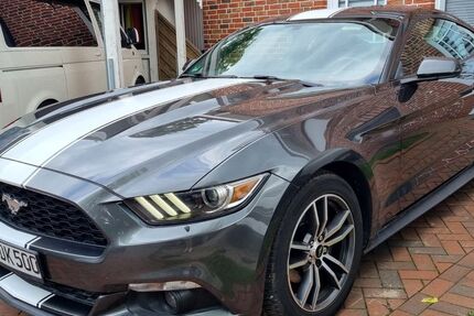 Ford Mustang 216.000 km 12.500 &euro; Ostbevern 48346