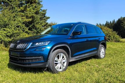 Skoda Kodiaq 152.000 km 19.000 € Bingen 72511