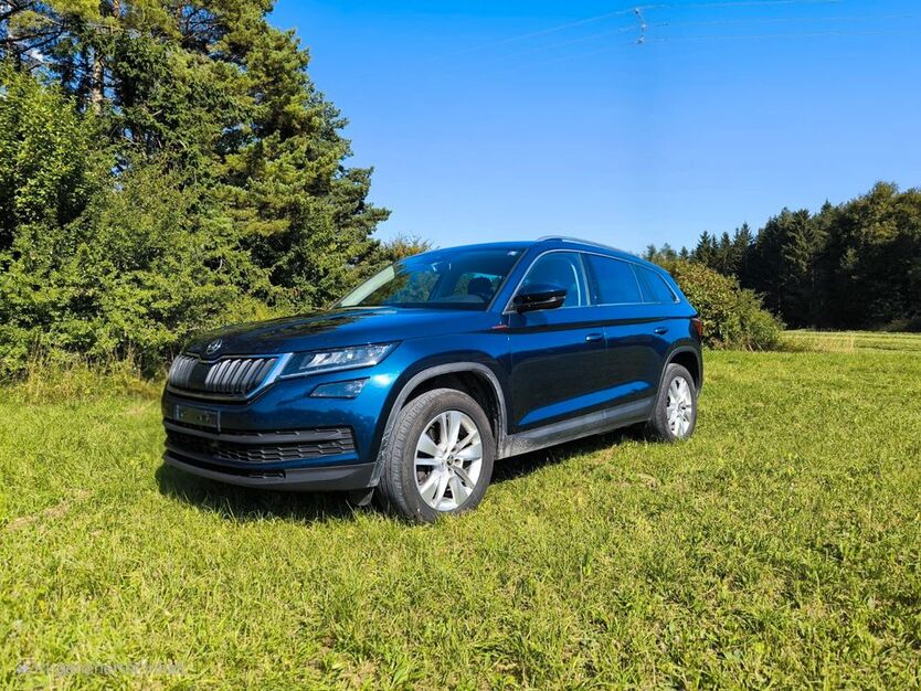 Skoda Kodiaq 152.000 km 19.000 € Bingen 72511