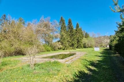 Haus Engen - 9 Zimmer, 250 m&sup2;, 599.000&euro; | Angebot:26754582
