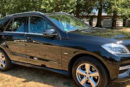 Mercedes-Benz ML 350 278.000 km 13.500 &euro; Braubach 56338