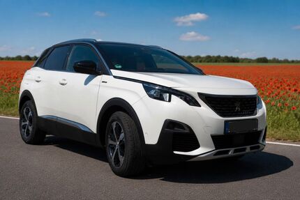Peugeot 3008 96.000 km 22.000 &euro; Biederitz 39175