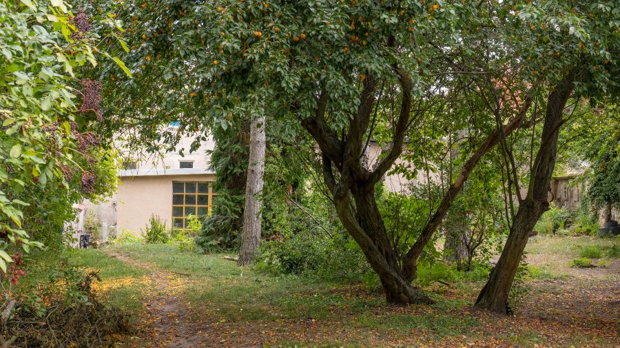Provisionsfrei* Zwischen Blauberg und Garten - Einfamilienhaus Kreischa | Angebot:26116135