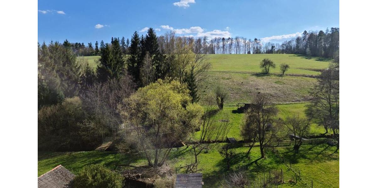 Erdgeschoßwohnung Leinfelden-Echterdingen Echterdingen - 2 Zimmer, 52 m&sup2;, 1.380&euro; | Angebot:25990822