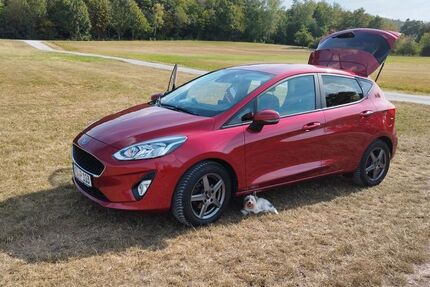 Ford Fiesta 90.500 km 10.500 &euro; Rosstal 90574