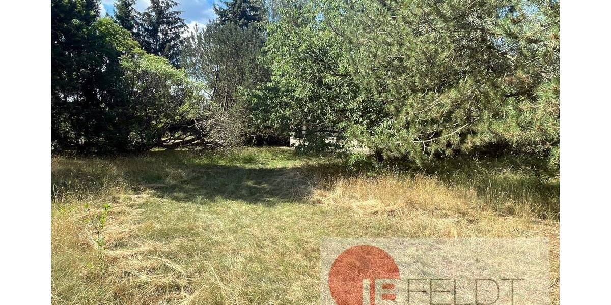 Grundstück Grünheide (Mark) / Kagel Kagel - 790.000&euro; | Angebot:25696079