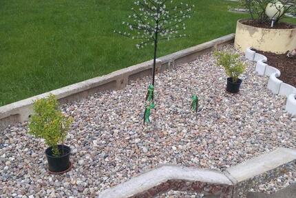 Haus Guben - 4 Zimmer, 200 m&sup2;, 200.000&euro; | Angebot:25640636