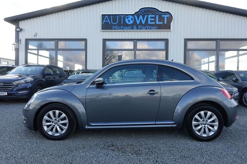Beetle