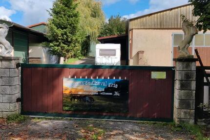 Haus Freiburg im Breisgau Brühl - 7 Zimmer, 250 m&sup2;, 1.380.000&euro; | Angebot:23603885