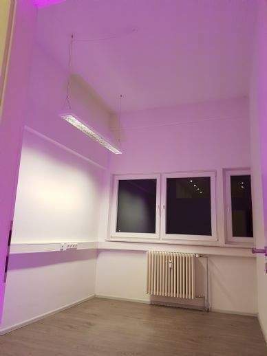 Gewerbeobjekt Müllheim - 1.550&euro; | Angebot:26230069