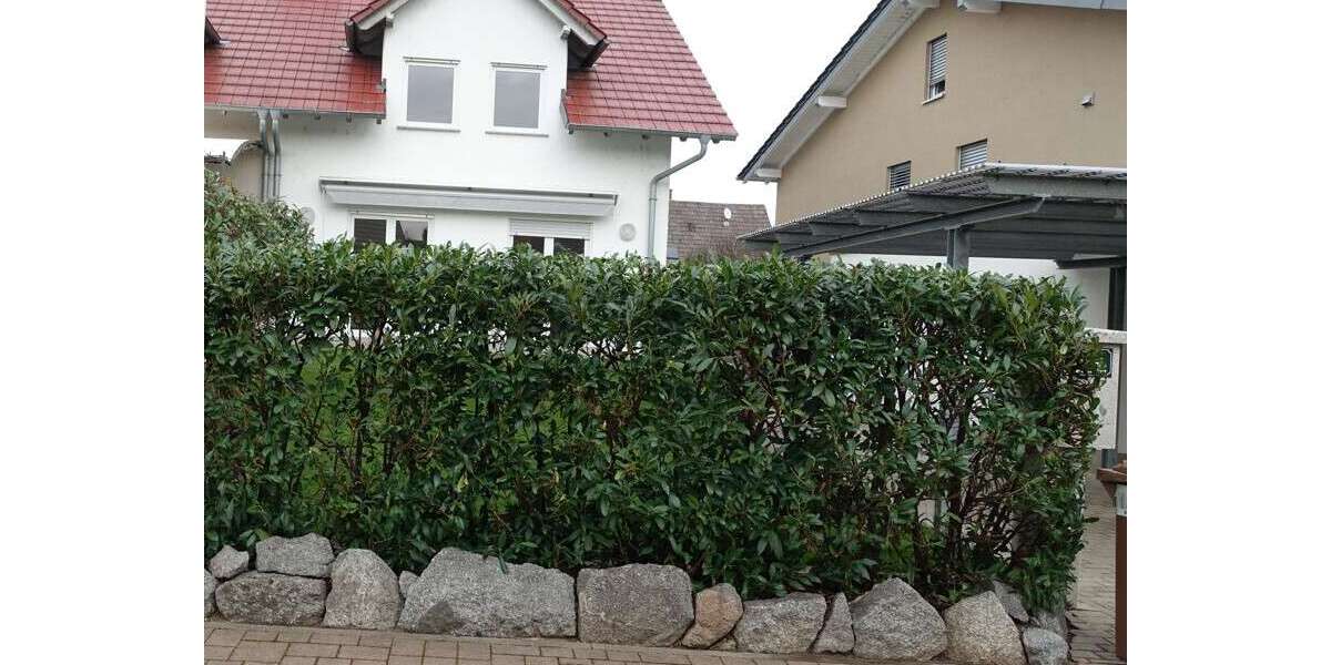 Haus zum Mieten in Einhausen 2.180 € 174 m² 5 zimmer