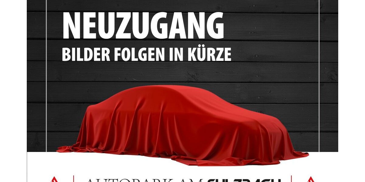 Seat Leon 104.950 km 17.490 &euro; Denkingen 78588