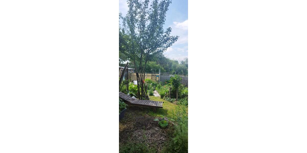 Doppelhaushälfte Penkun - 299.000&euro; | Angebot:26913639