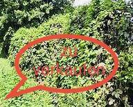 Grundstück Alfeld - 99.990&euro; | Angebot:22506850