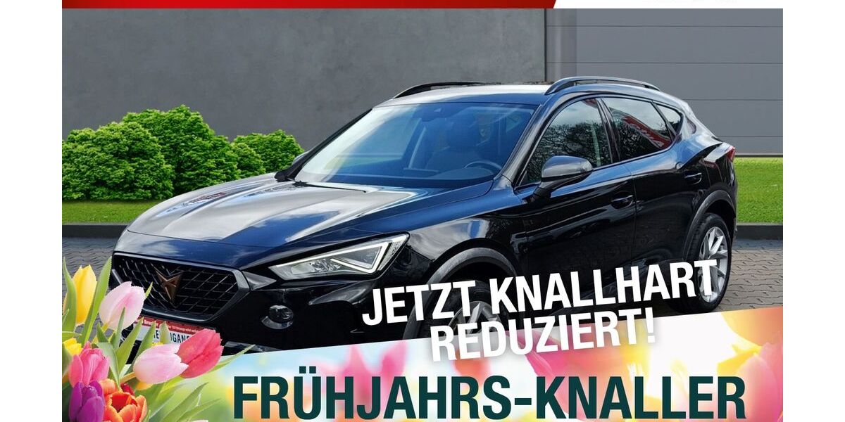 Cupra Formentor 89.171 km 23.870 &euro; Marktredwitz 95615