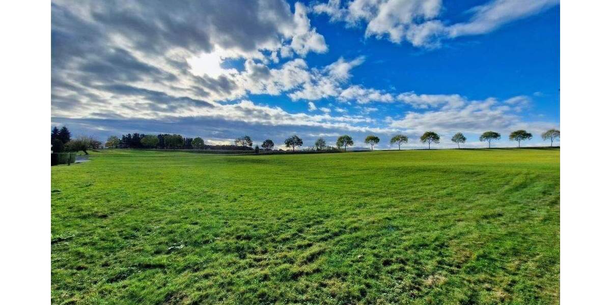 Einfamilienhaus Strahwalde Strahwalde - 7 Zimmer, 160 m&sup2;, 79.000&euro; | Angebot:25246727