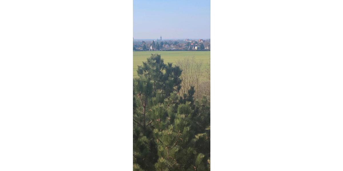 Etagenwohnung Wittenberg Lutherstadt - 1 Zimmer, 49 m&sup2;, 36.000&euro; | Angebot:26322647
