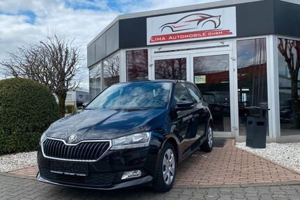 Skoda Fabia 45.000 km 14.990 &euro; Weinheim 69469