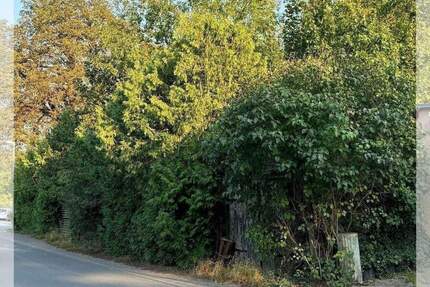 Eck-Baugrundstück in Mühlenbeck-Mönchmühle zimmer