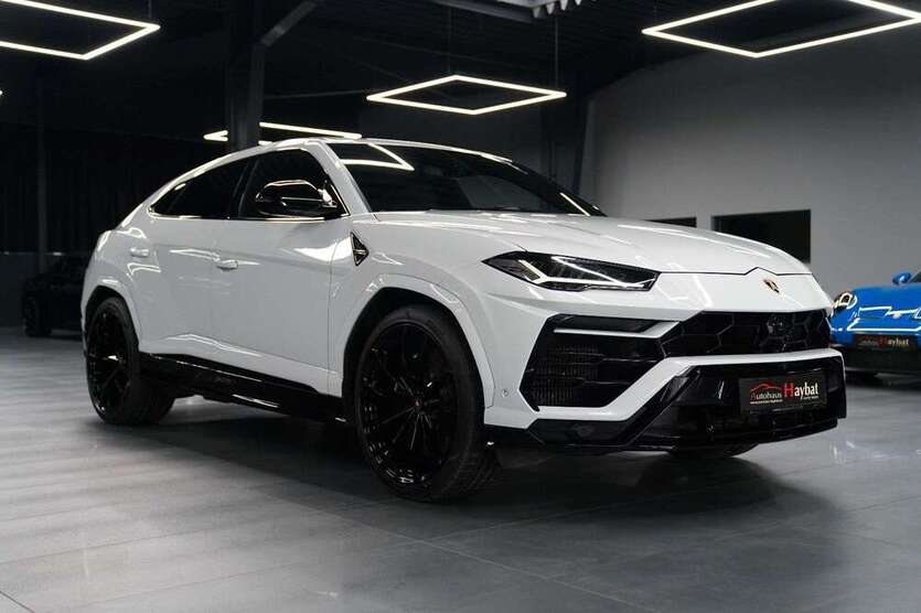 Urus