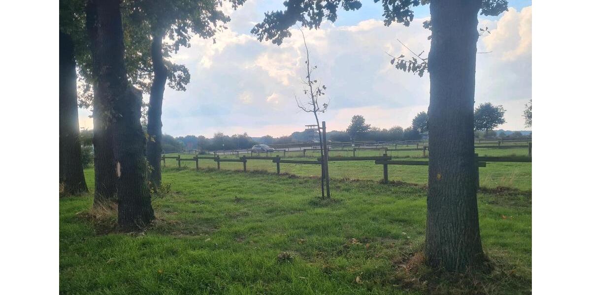 Einfamilienhaus in Olfen provisionsfrei zimmer