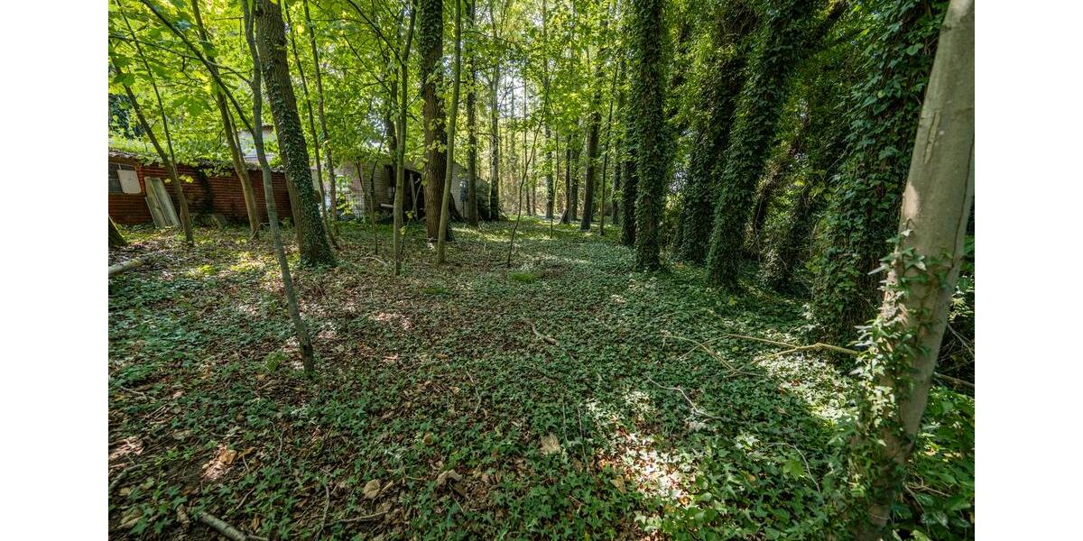 Einfamilienhaus Lathen - 8 Zimmer, 160 m&sup2;, 450.000&euro; | Angebot:26711165