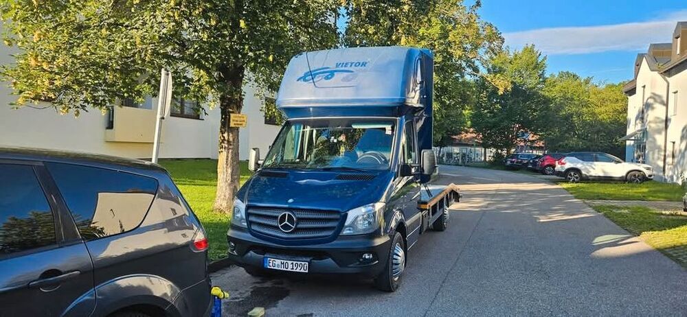 Sprinter