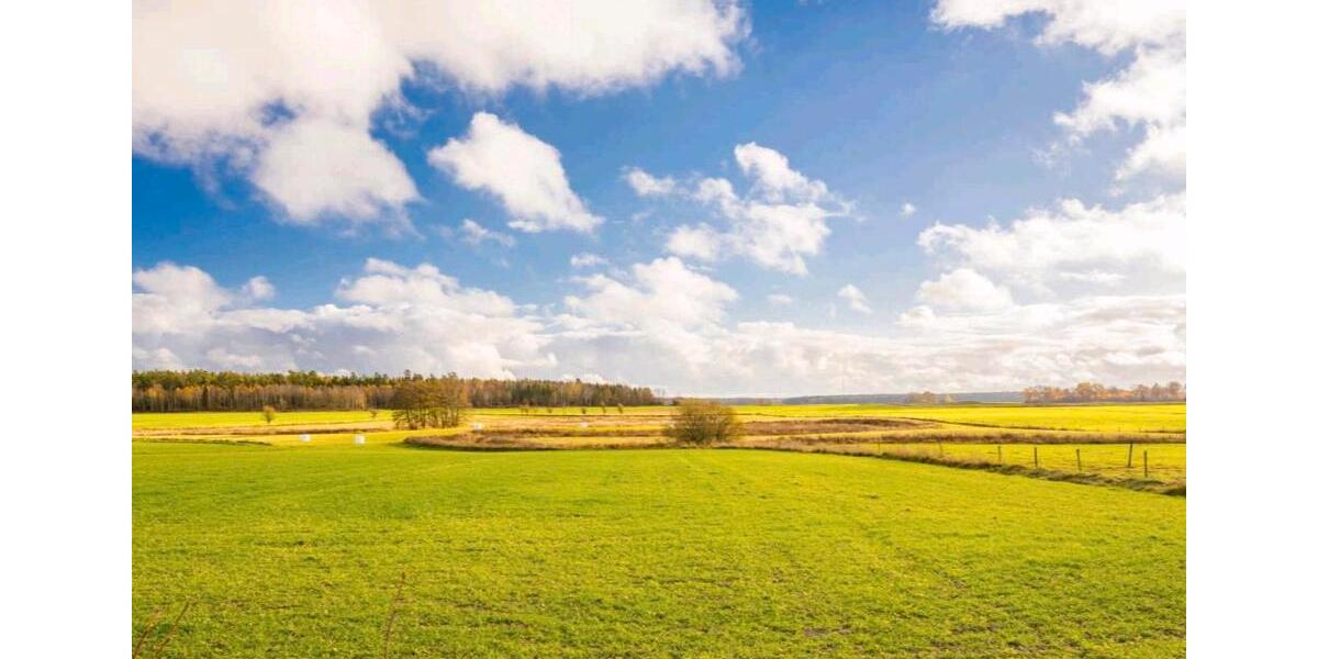 Einfamilienhaus Willingshausen - 69.000&euro; | Angebot:26879312