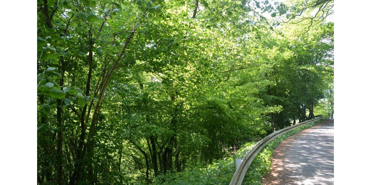 Grundstück Reichshof - 33.333&euro; | Angebot:25764344