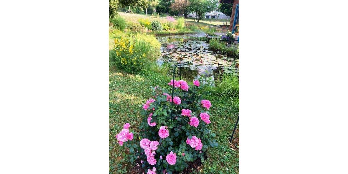 Einfamilienhaus Boxberg Schweigern - 7 Zimmer, 180 m&sup2;, 445.000&euro; | Angebot:25668905