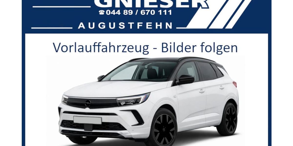 Opel Grandland (X) 21.900 km 21.900 &euro; Augustfehn 26689