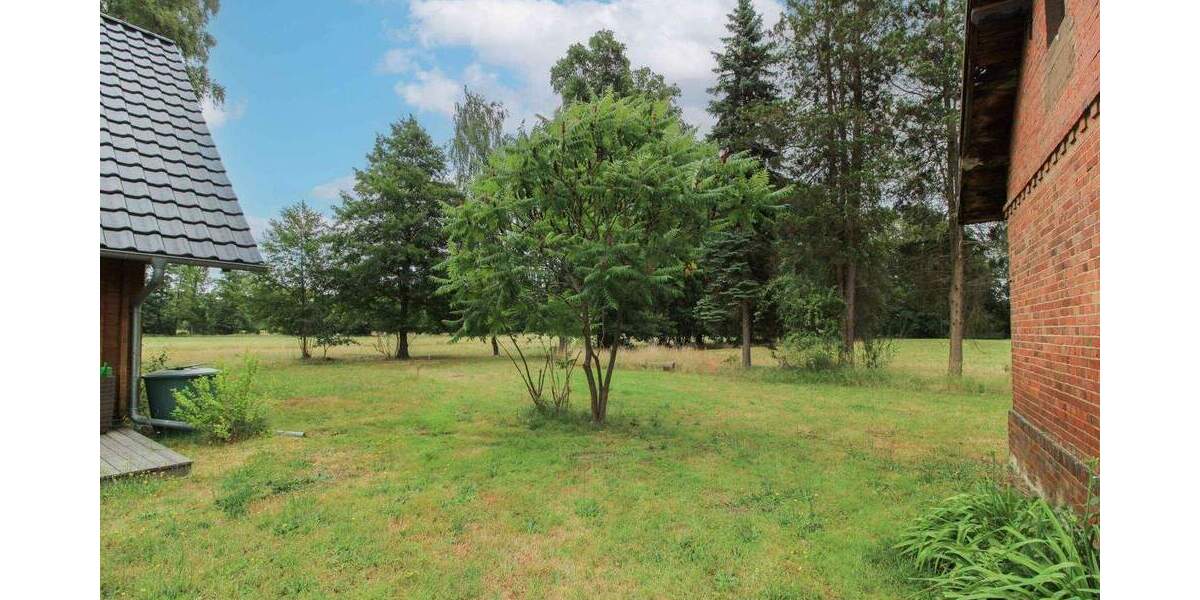 Einfamilienhaus mit originaler Spreewaldscheune in idyllischer Alleinlage auf 6 Hektar Naturparadies 5 zimmer