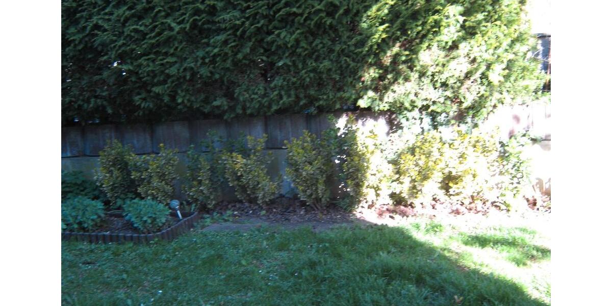 Erdgeschoßwohnung Hünfeld - 2 Zimmer, 48 m&sup2;, 620&euro; | Angebot:26335158