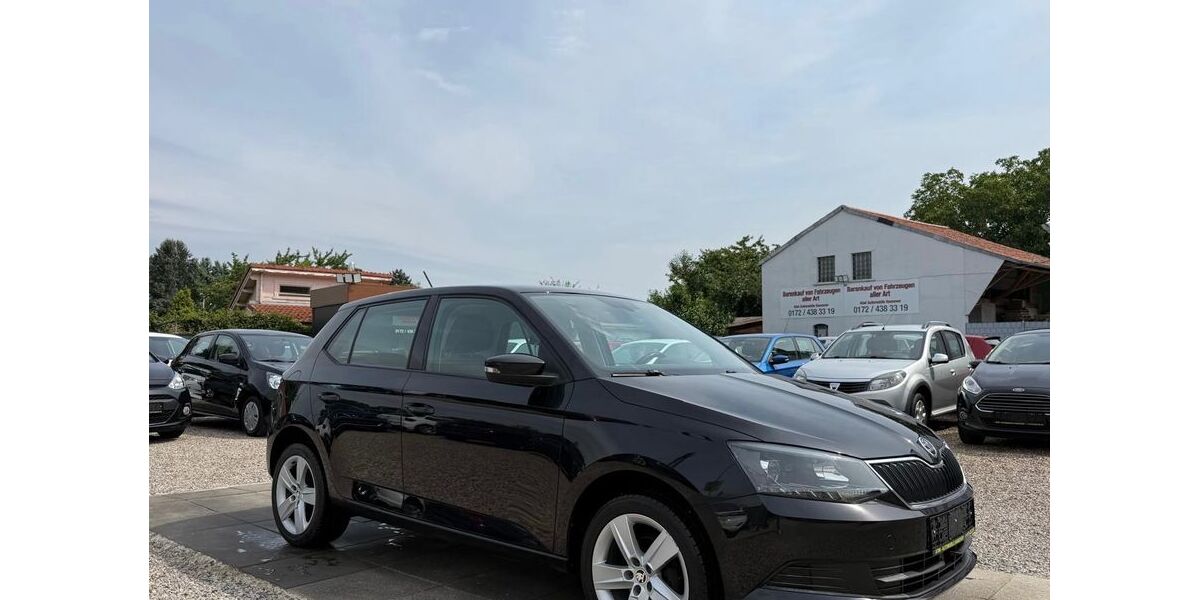 Skoda Fabia 76.000 km 8.699 &euro; Hannover 30163