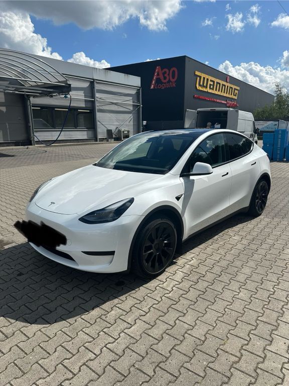 Model Y
