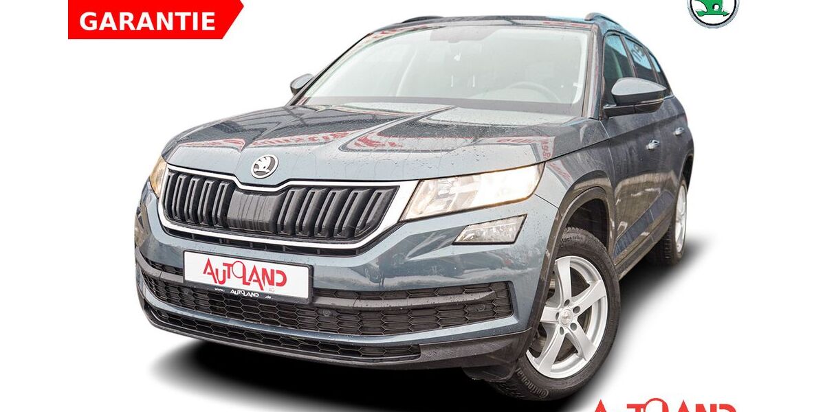 Skoda Kodiaq 110.061 km 16.990 &euro; Wietmarschen 49835