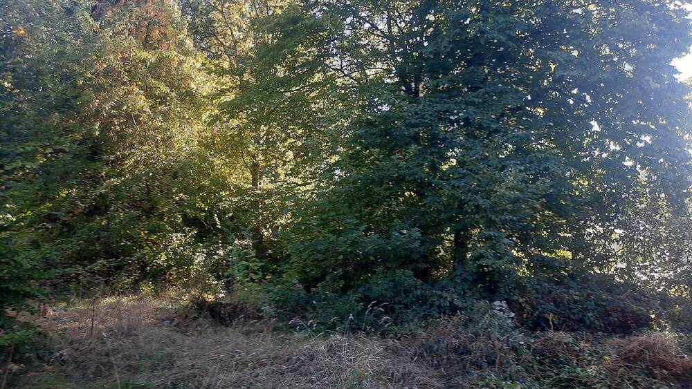 Grundstück Waldbröl - 120.000&euro; | Angebot:25735473