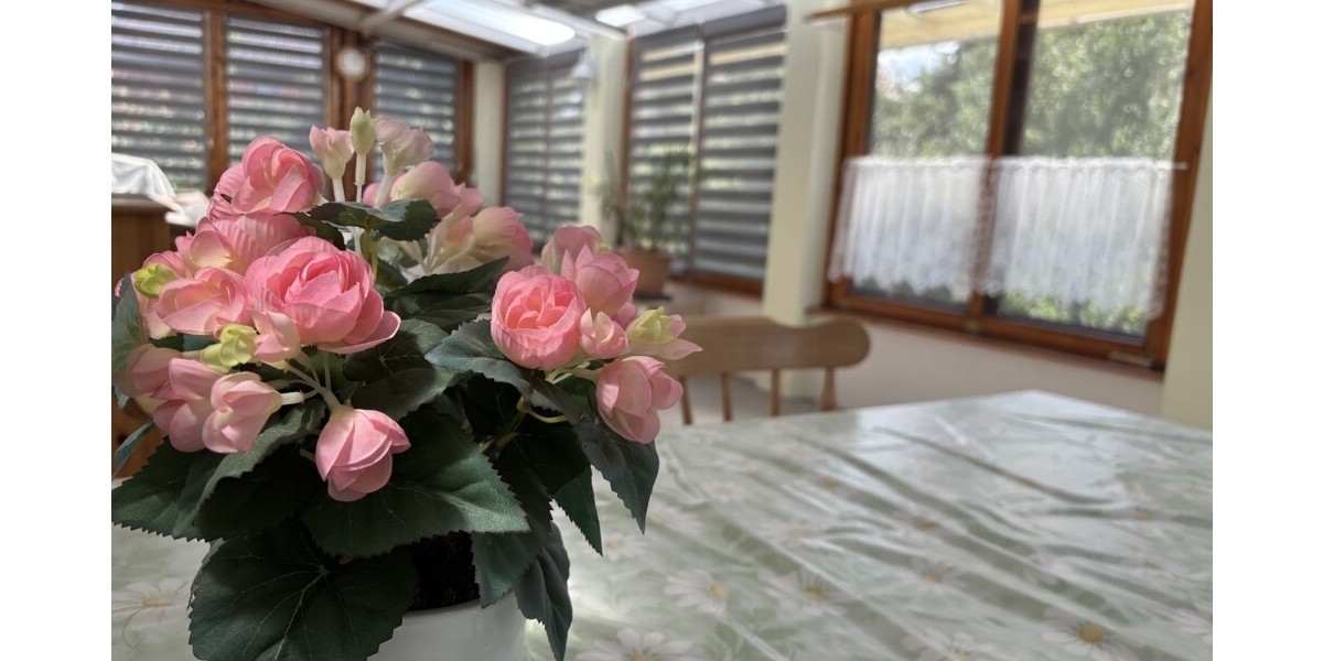 Großzügiges und idyllisch gelegenes Wohlfühlzuhause mit Wintergarten und großem Grundstück - Einfamilienhaus Klipphausen | Angebot:26990002
