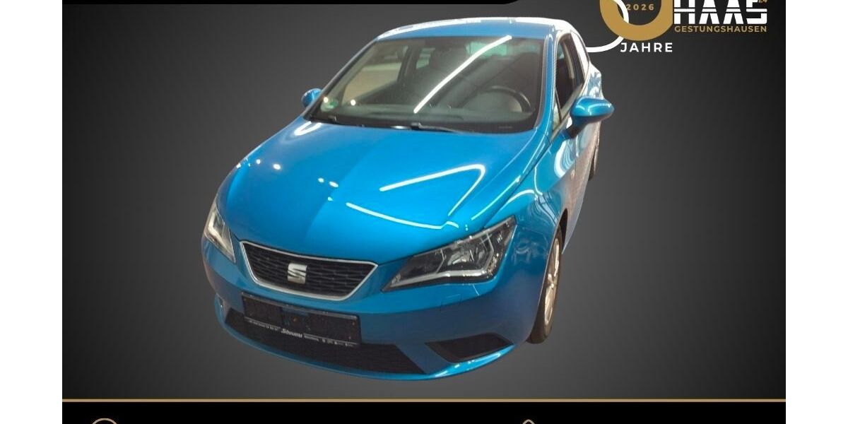 Seat Ibiza 107.417 km 8.500 &euro; Sonnefeld-Gestungshausen 96242