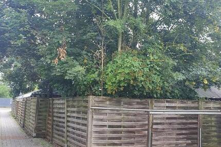 Wohnung Wegberg - 1 Zimmer, 16 m&sup2;, 299&euro; | Angebot:25474558