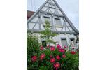 Einfamilienhaus Nehren - 10 Zimmer, 679.000&euro; | Angebot:21607425