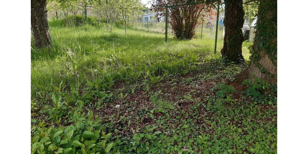 Reihenhaus Walsdorf - 7 Zimmer, 136 m&sup2;, 148.000&euro; | Angebot:26710597