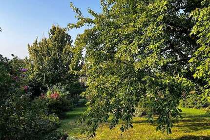 Haus zum Kaufen in Hofheim am Taunus 1.590.000 € 450 m²