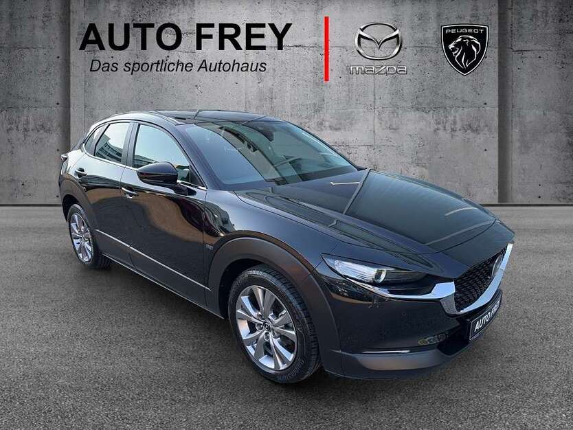 CX-30